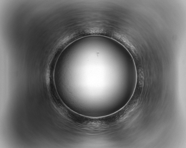 X0000093610631200710151240