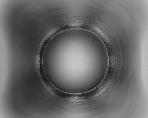 X0000093610634200710151240