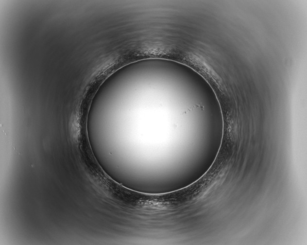 X0000093610635200710151240