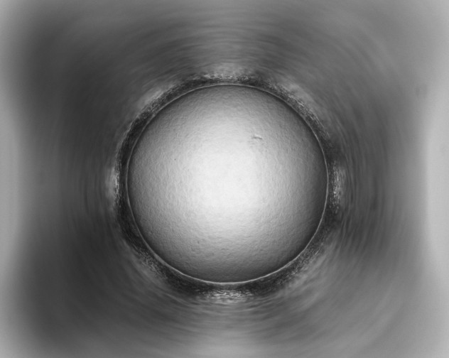 X0000093610636200710151240