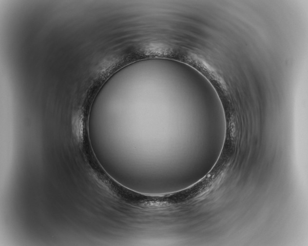 X0000093610637200710151240