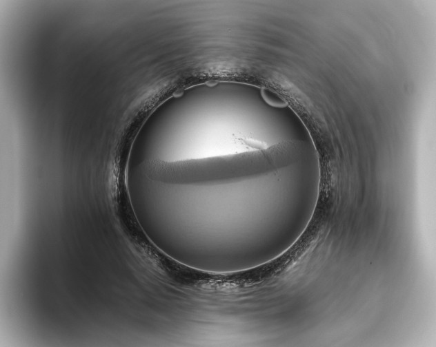X0000093610640200710151240