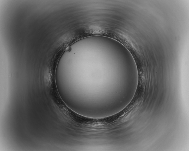 X0000093610643200710151240