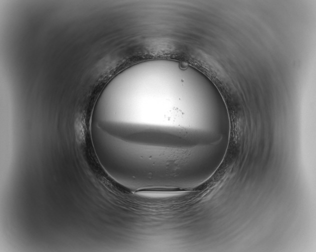 X0000093610644200710151240