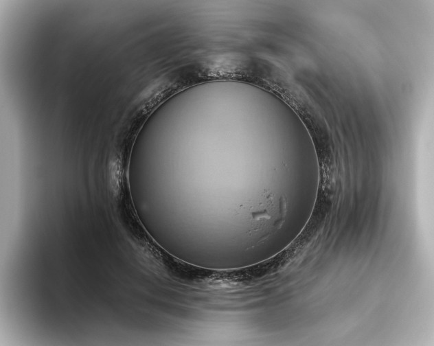 X0000093610648200710151240