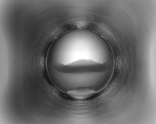 X0000093610650200710151240