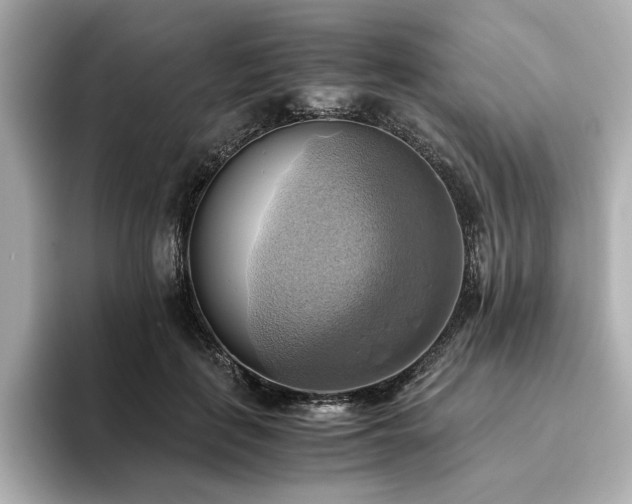 X0000093610651200710151240