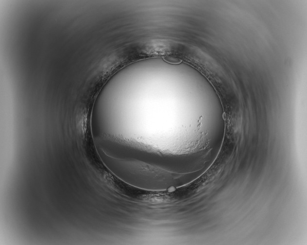 X0000093610652200710151240