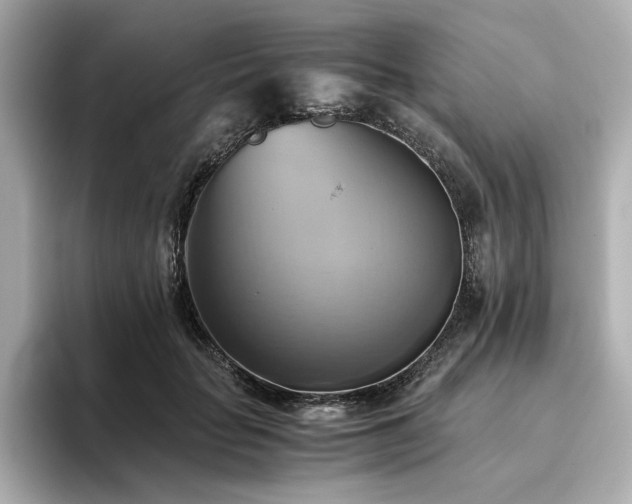 X0000093610653200710151240