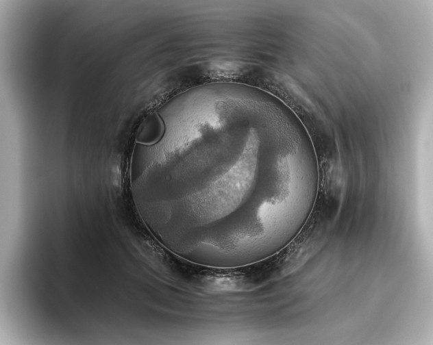 X0000093610655200710151240