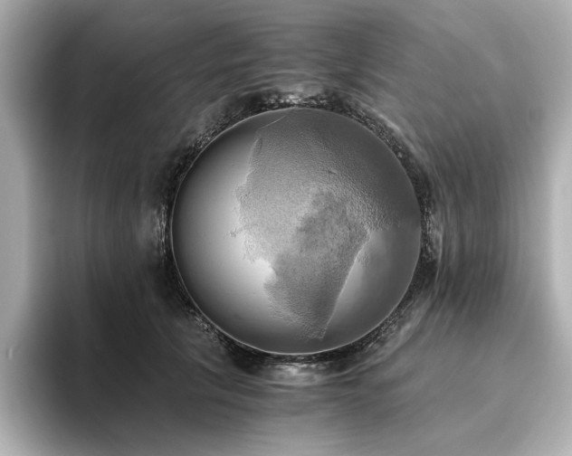 X0000093610657200710151240