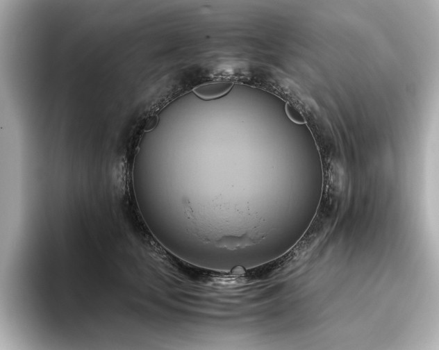 X0000093610659200710151240