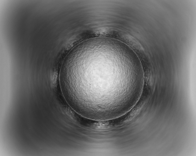 X0000093610660200710151240