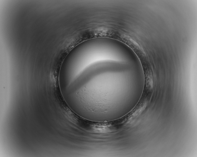 X0000093610661200710151240