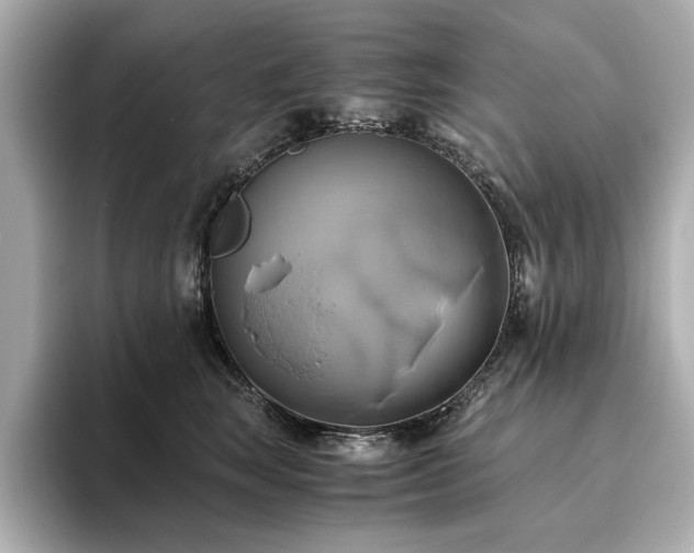 X0000093610663200710151240