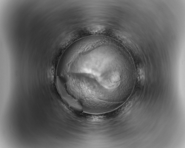 X0000093610664200710151240
