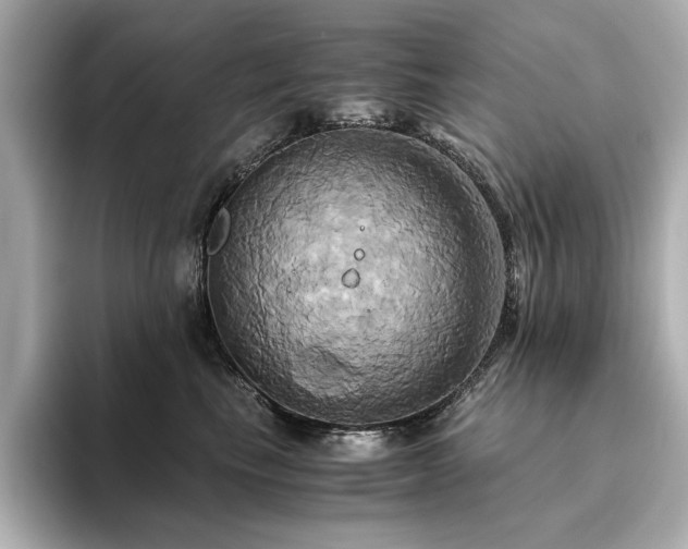X0000093610665200710151240