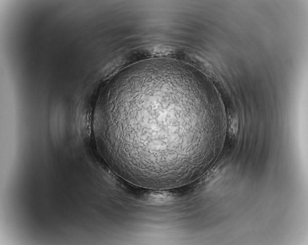 X0000093610666200710151240