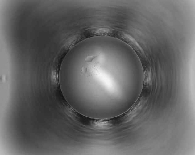 X0000093610669200710151240