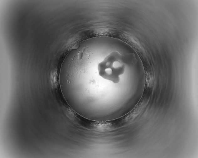 X0000093610670200710151240
