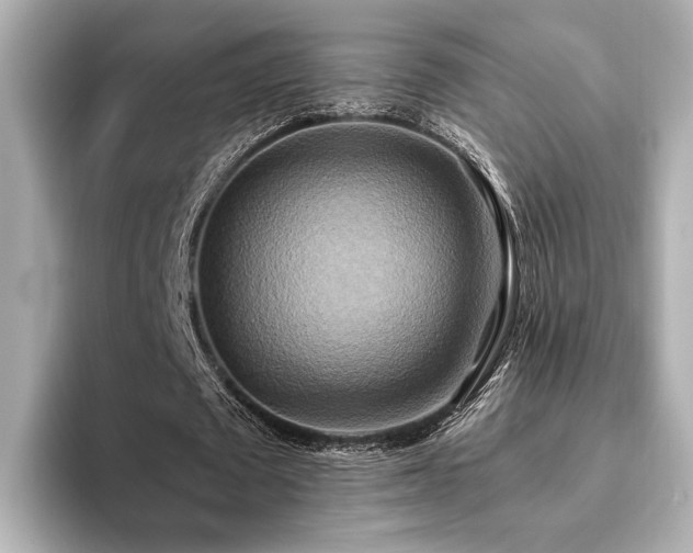 X0000093610673200710151240