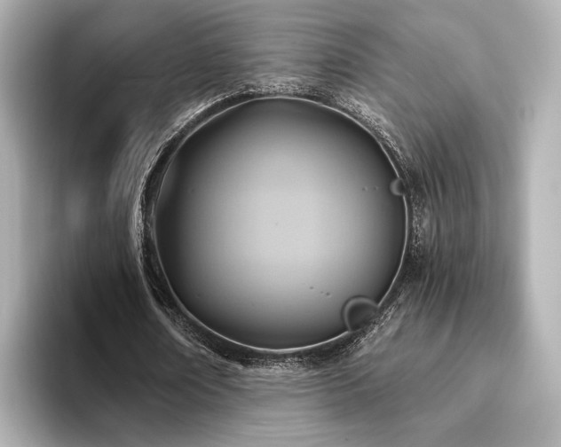 X0000093610674200710151240