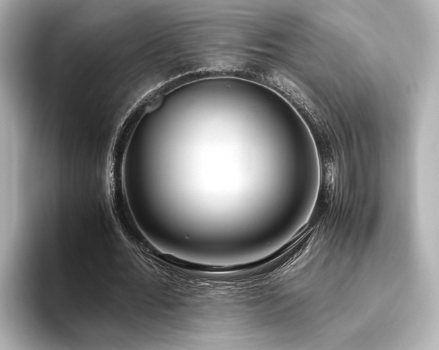 X0000093610676200710151240