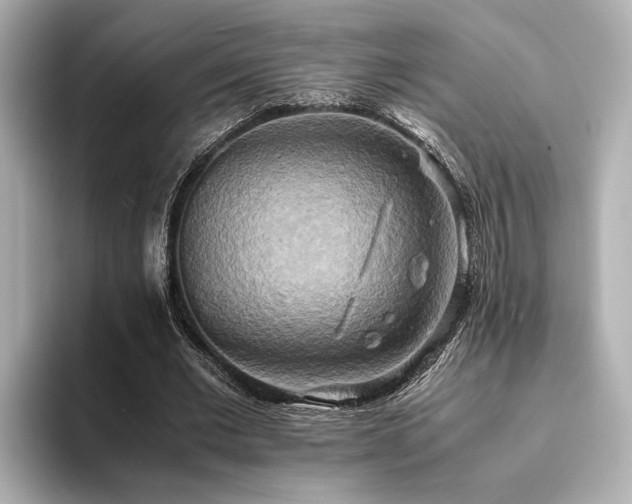 X0000093610677200710151240