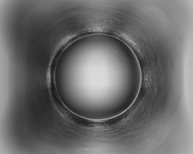 X0000093610678200710151240
