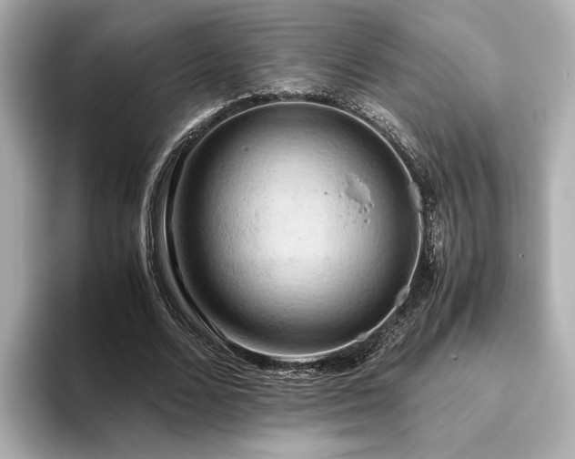 X0000093610680200710151240