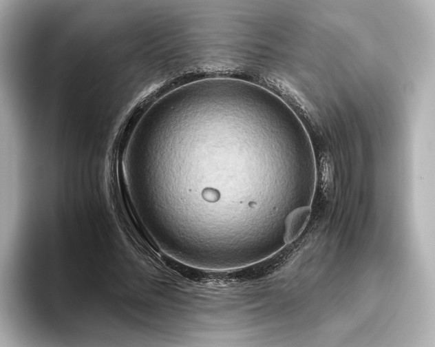 X0000093610684200710151239