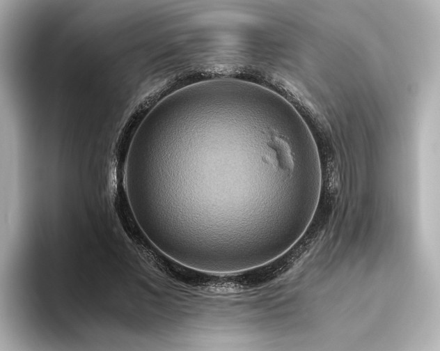 X0000093610685200710151239