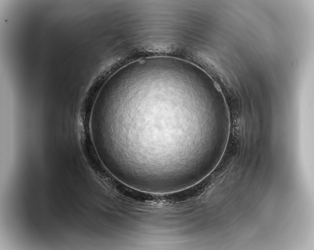 X0000093610688200710151239