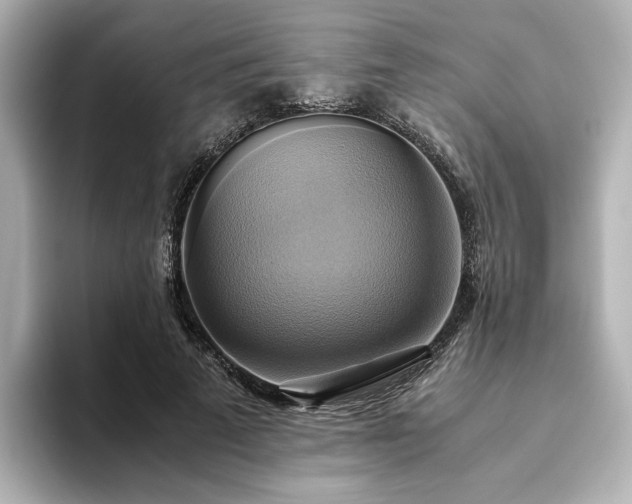 X0000093610689200710151239