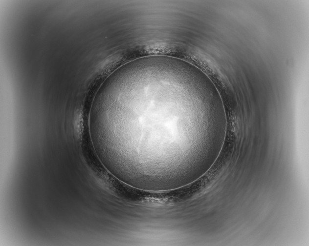 X0000093610690200710151239