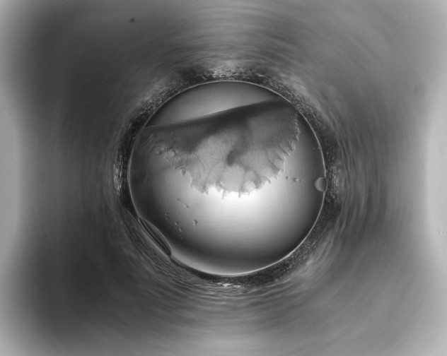 X0000093610691200710151239