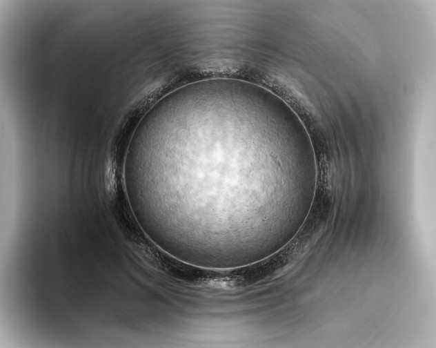 X0000093610692200710151239