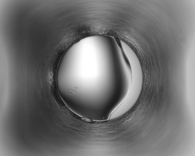 X0000093610693200710151239