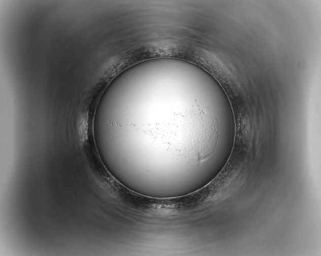 X0000093610694200710151239