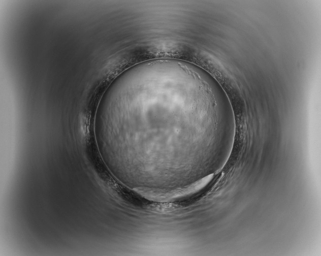 X0000093610695200710151239