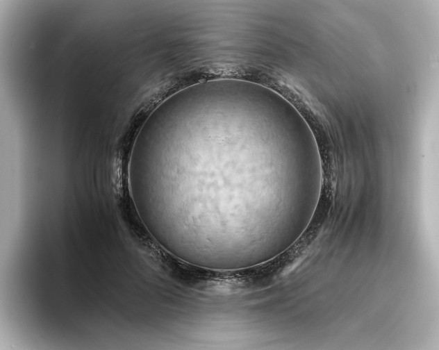 X0000093610696200710151239