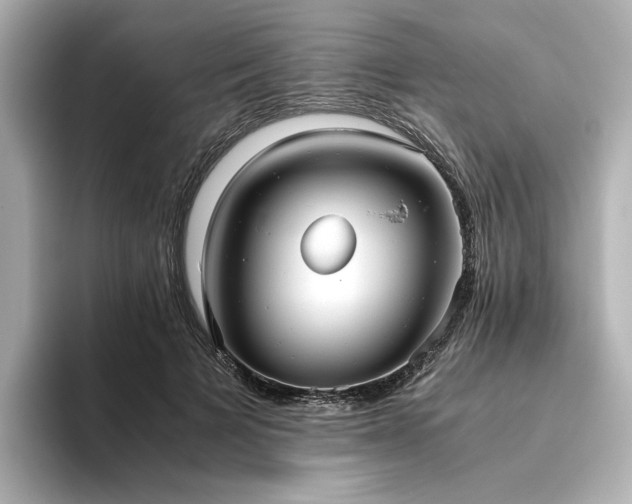 X0000093610697200710151239