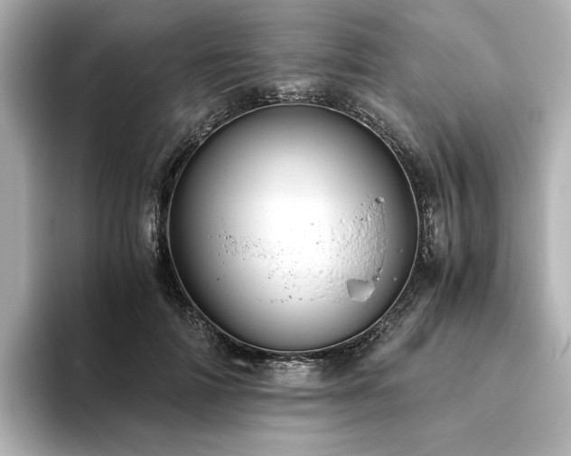 X0000093610698200710151239