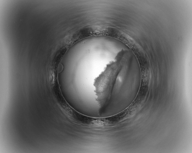 X0000093610703200710151239