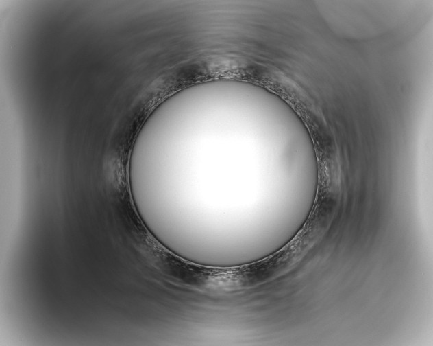 X0000093610705200710151239