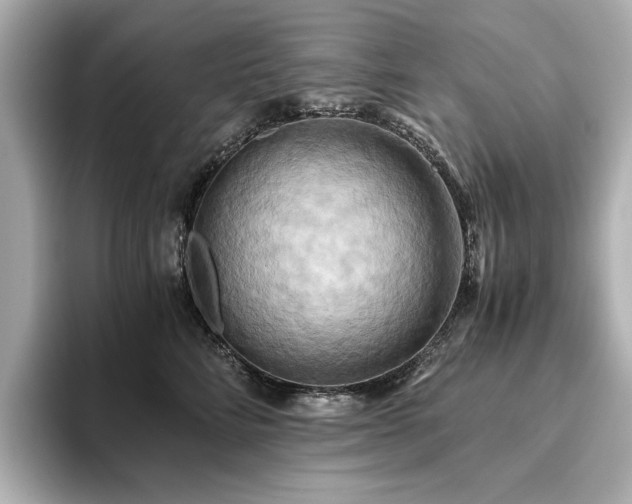 X0000093610712200710151239