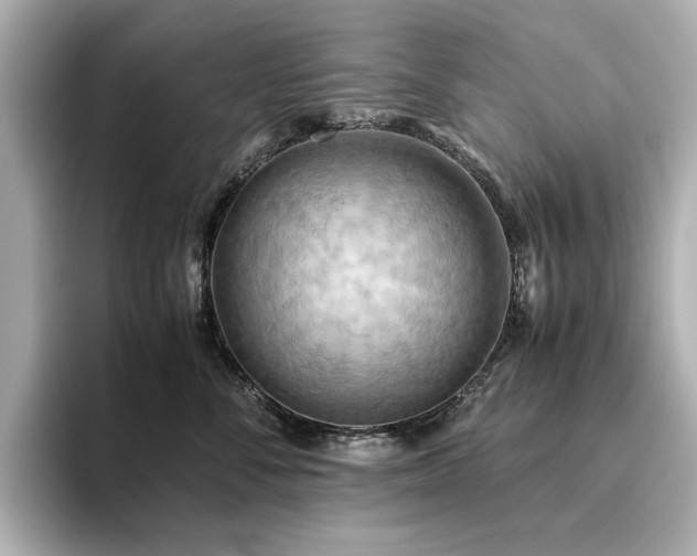 X0000093610716200710151239