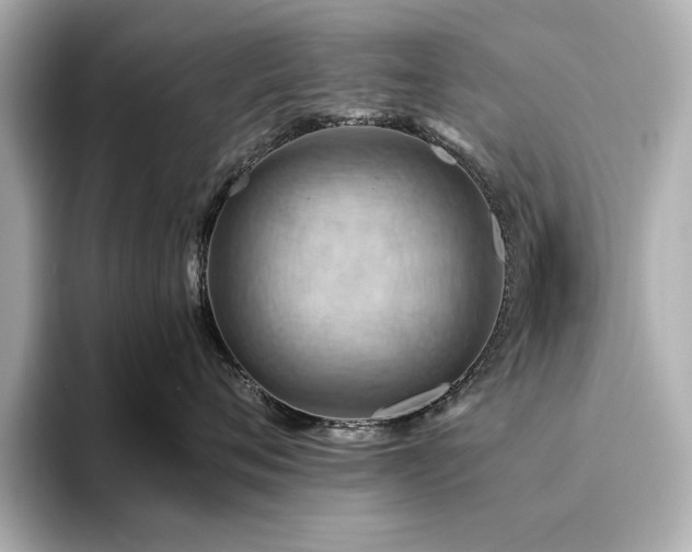X0000093610720200710151239