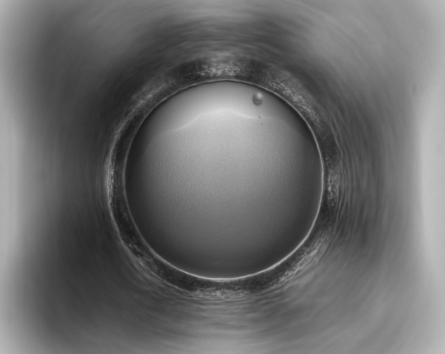 X0000093610722200710151239