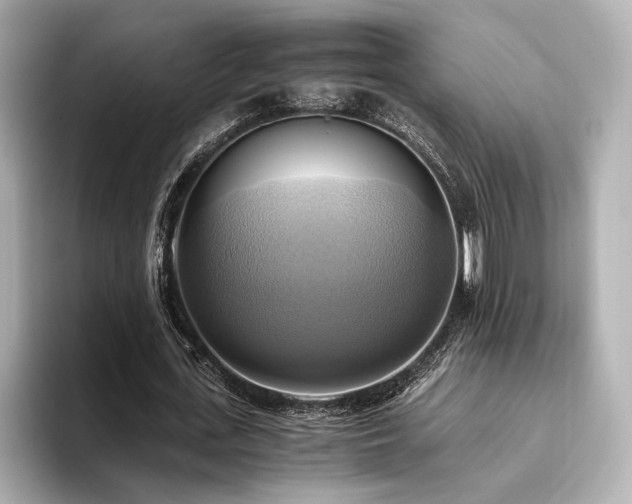 X0000093610723200710151239